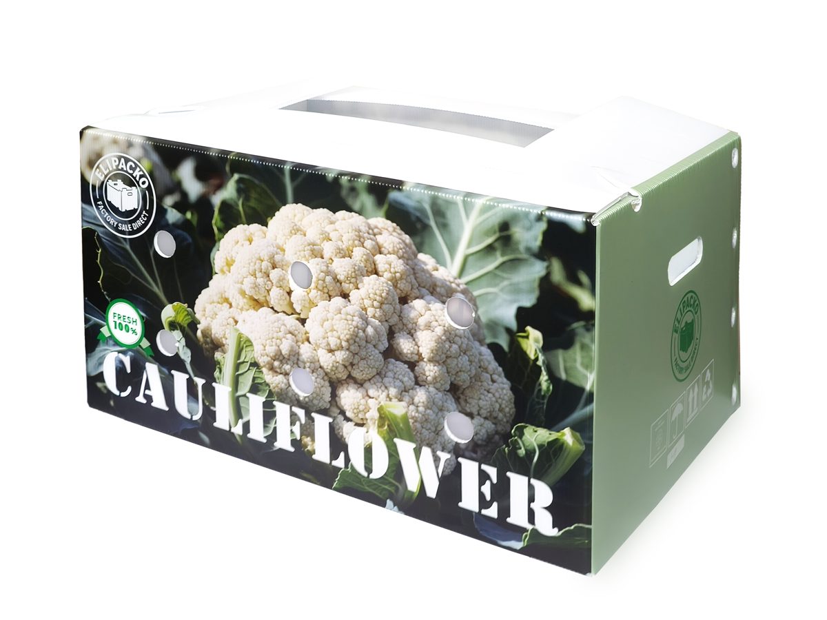 PP corrugated box with divider — cauliflower — Elipacko