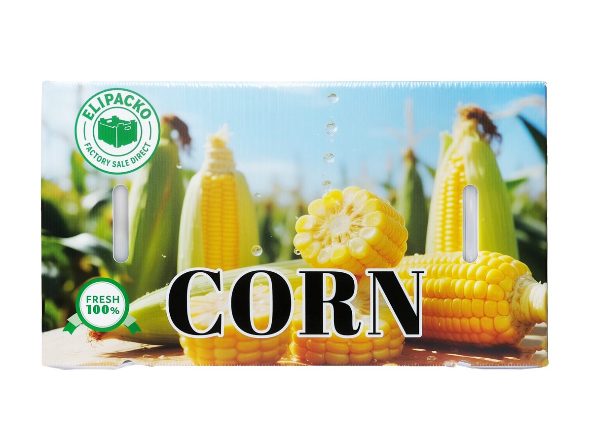 PP corrugated plastic boxes