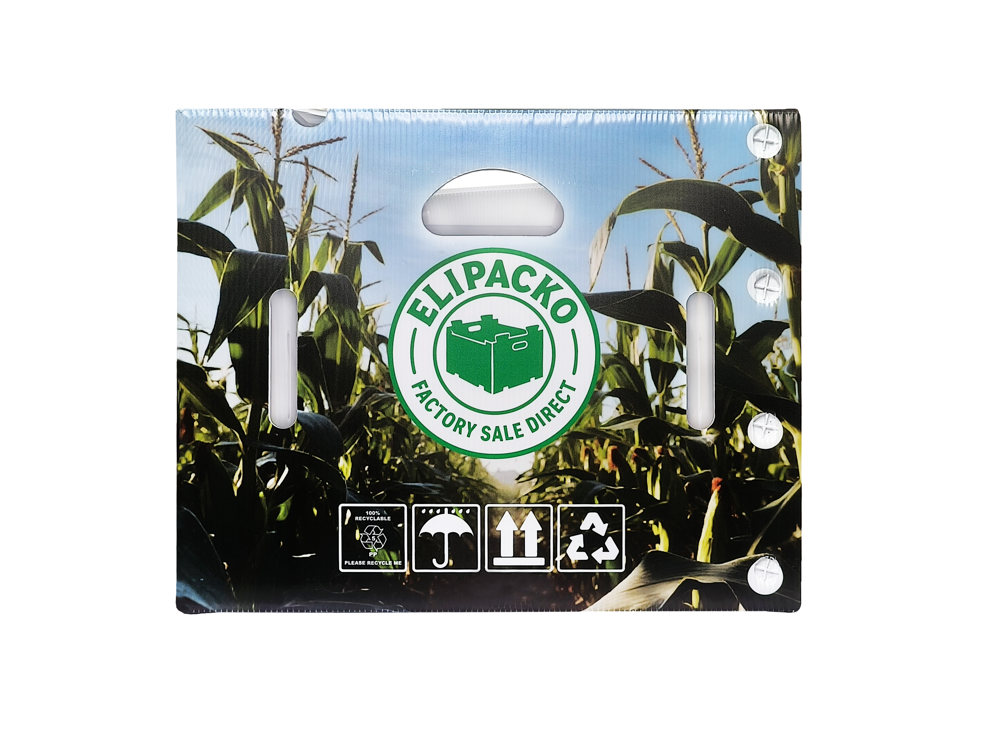 PP corrugated plastic boxes wholesale — Elipacko USA