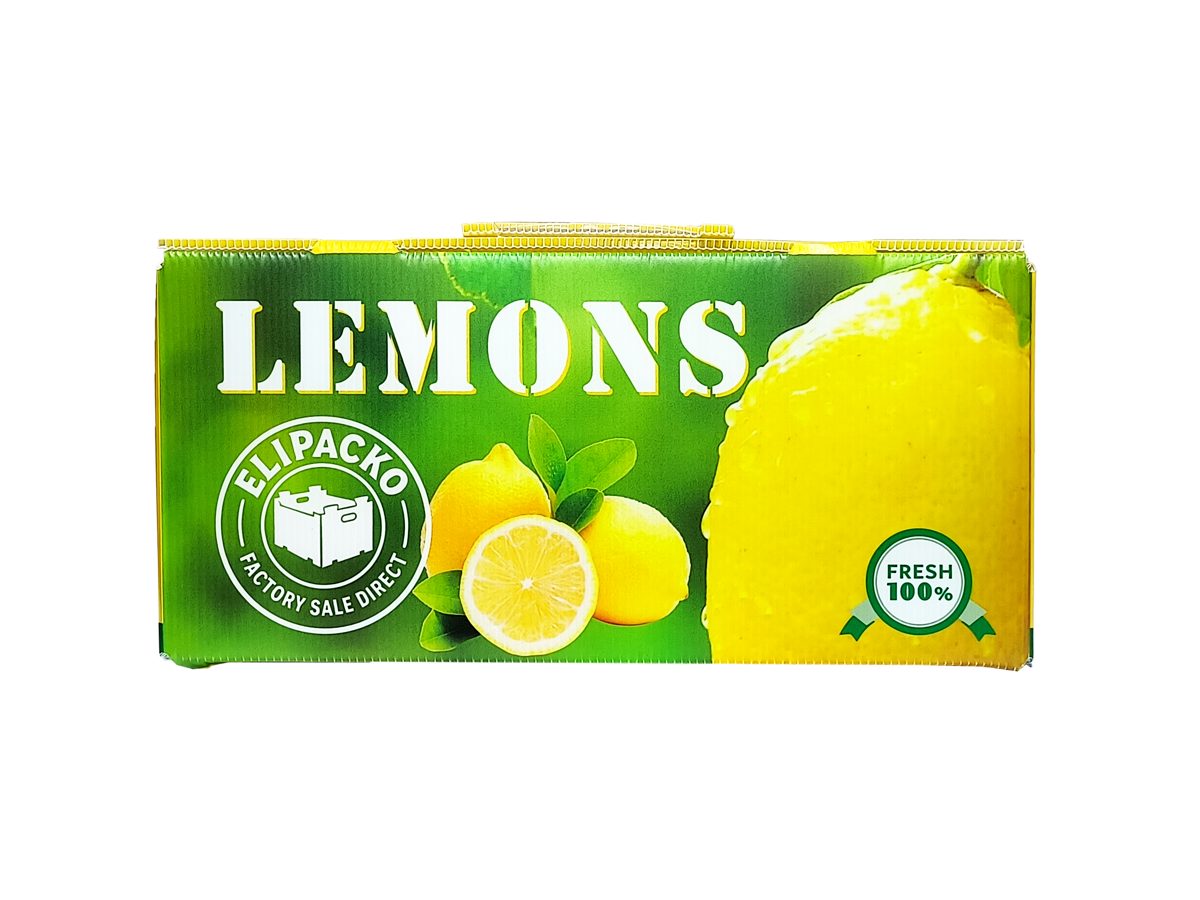 PP corrugated plastic box — lemons — Elipacko
