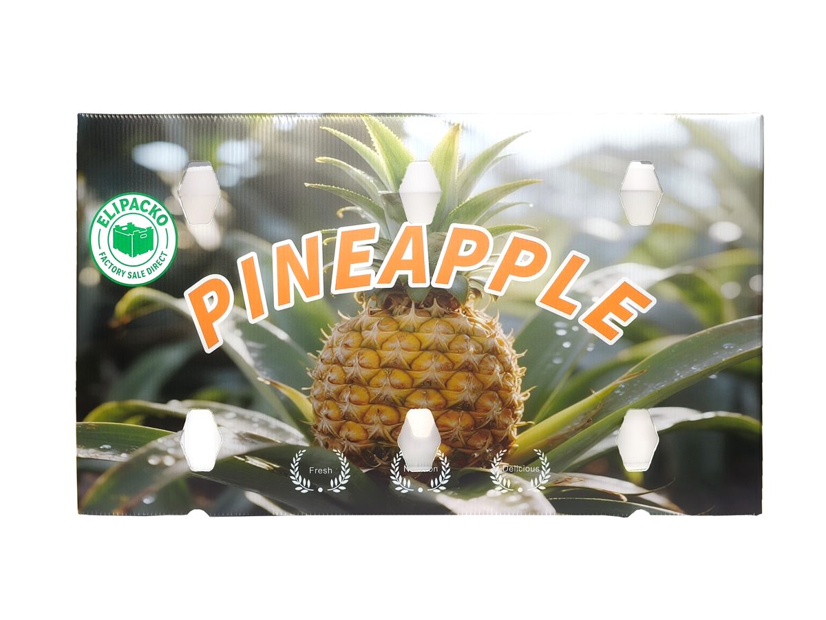 PP corrugated panel — pineapple flat — Elipacko