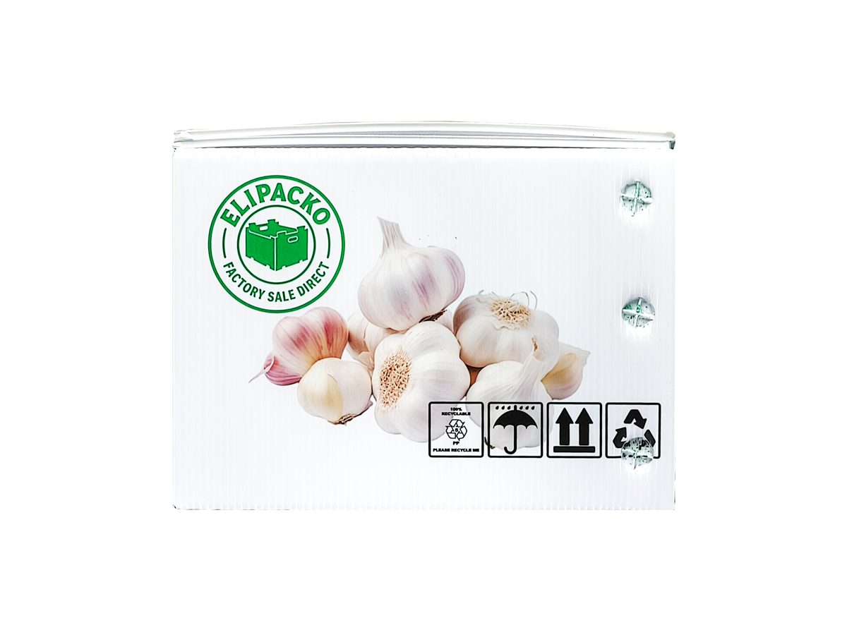 Polypropylene plastic containers