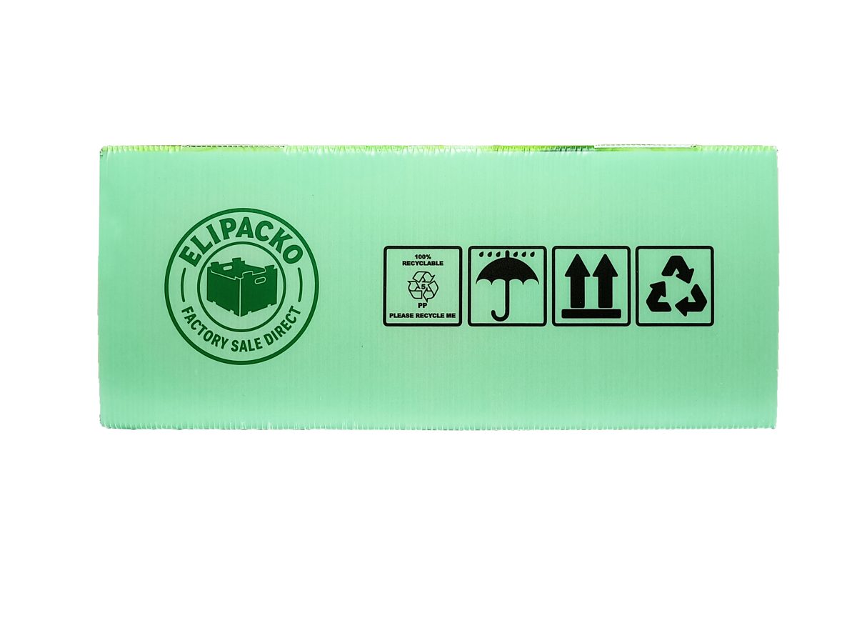 PP corrugated flat sheet panel — green bean — Elipacko
