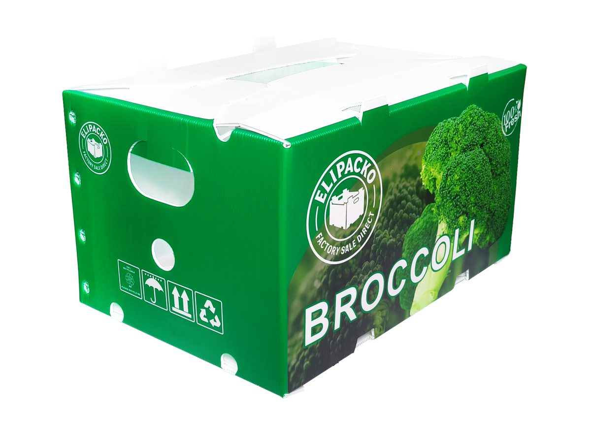 PP corrugated box — broccoli — Elipacko