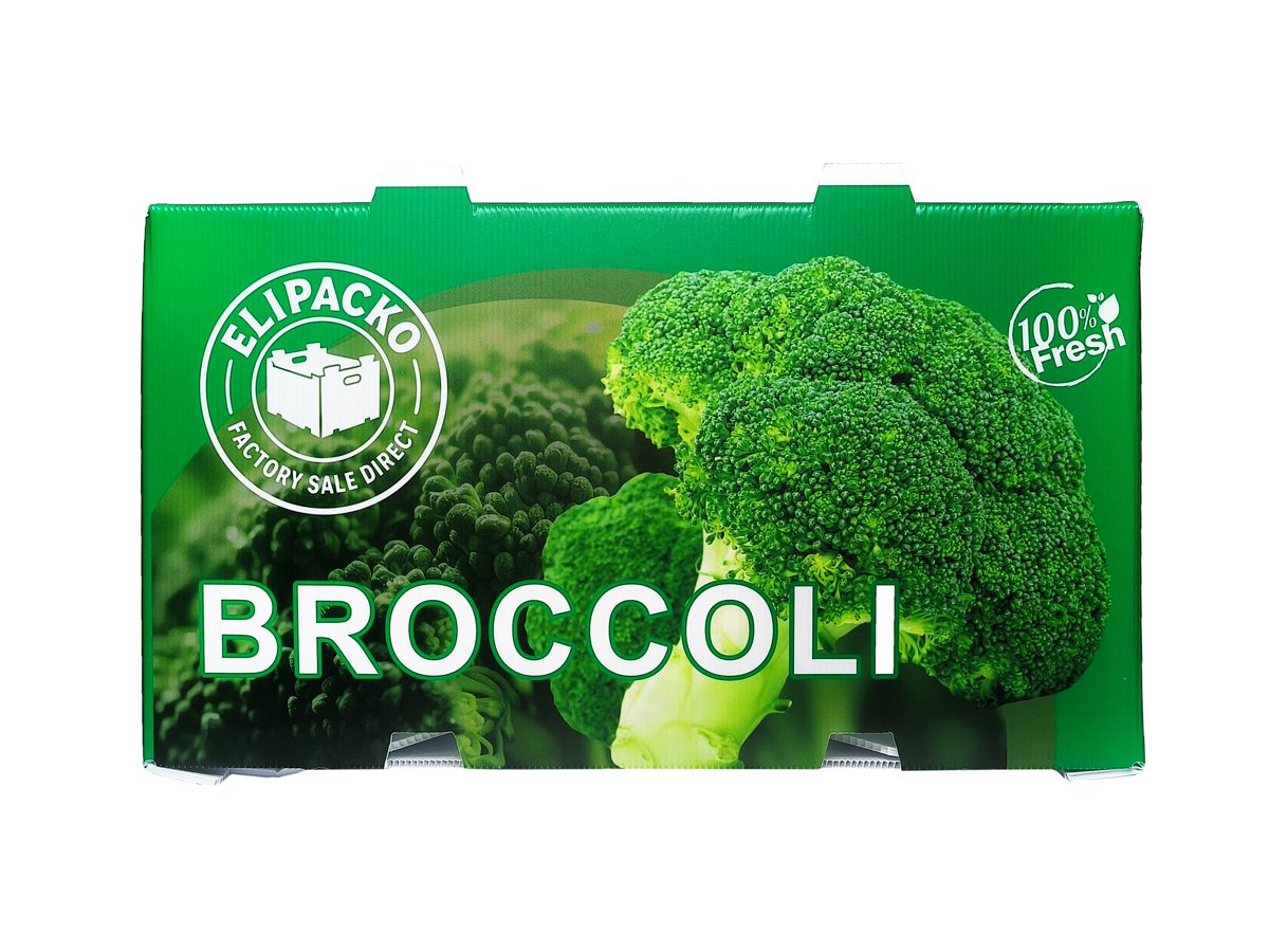 Corrugated PP bin — broccoli — Elipacko