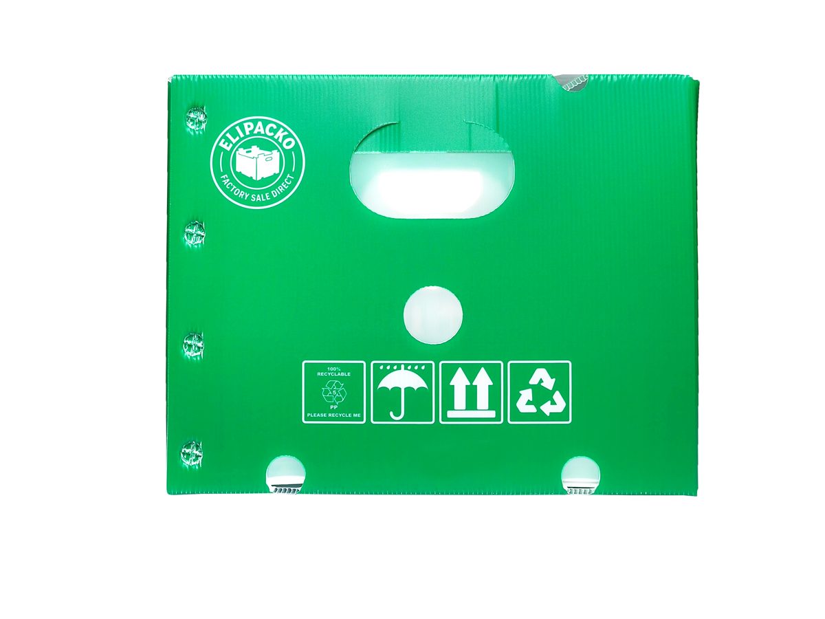 PP corrugated flat sheet panel — kiwi — Elipacko