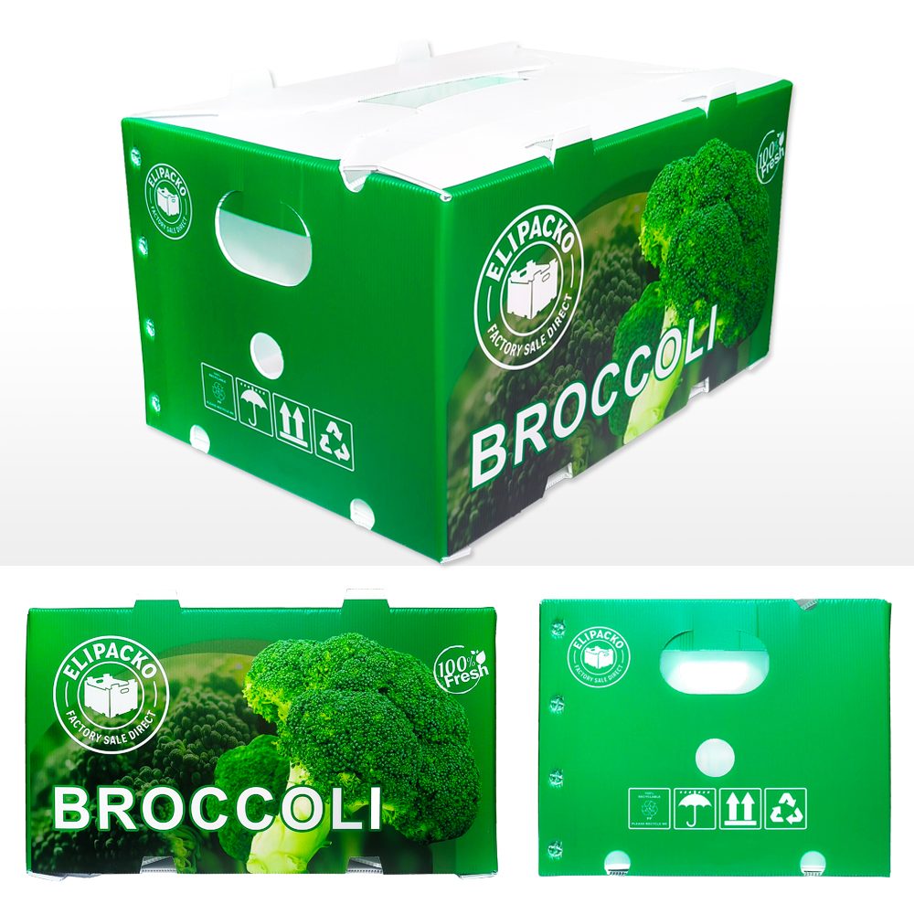 Broccoli in PP produce crate