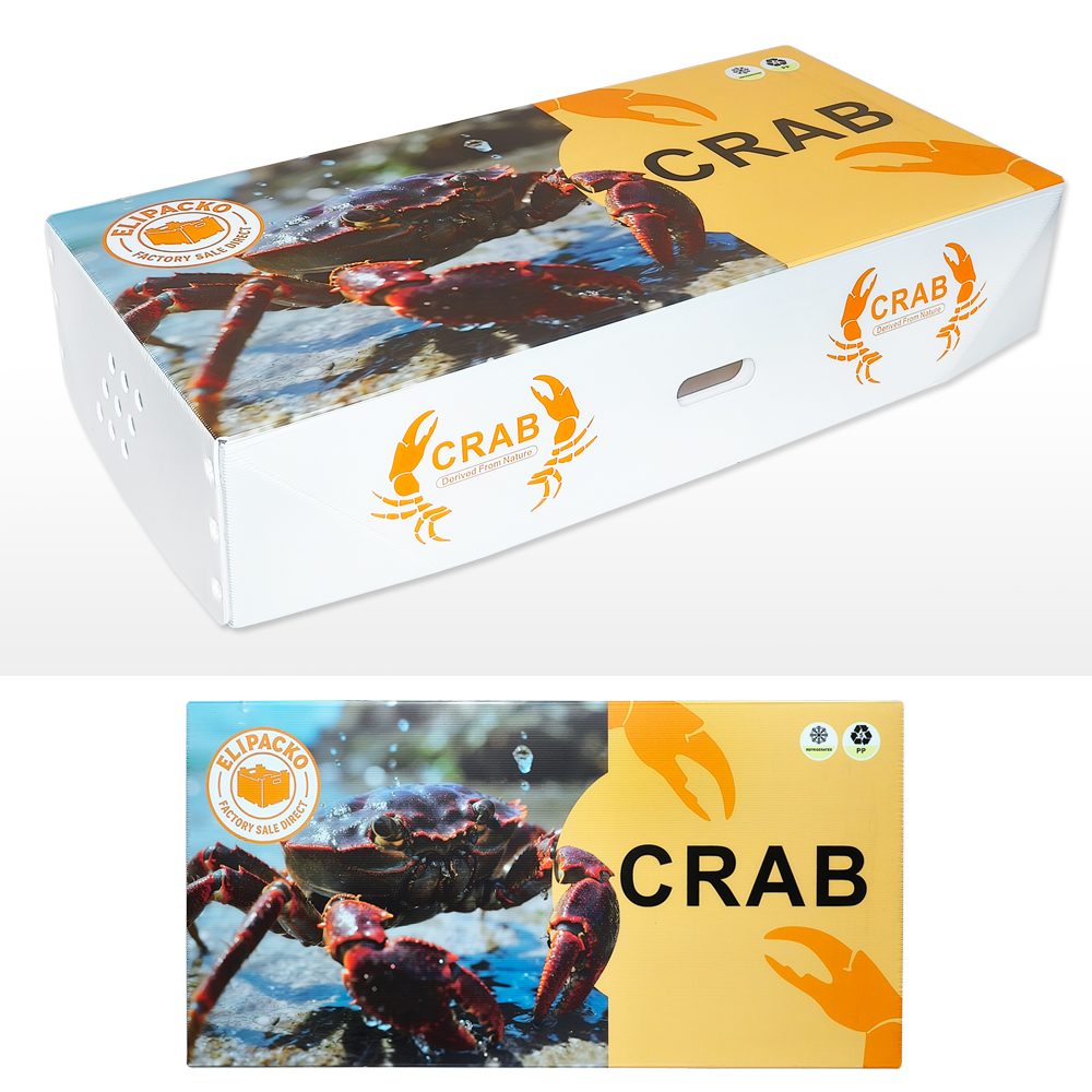 PP corrugated crab box with ventilation — Elipacko seafood packaging