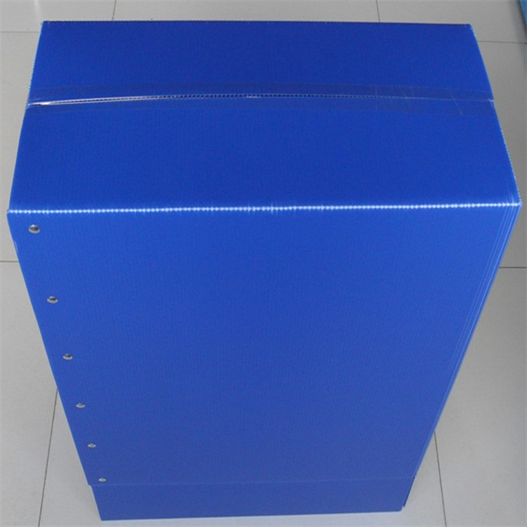 PP corrugated plastic box bulk — Elipacko USA