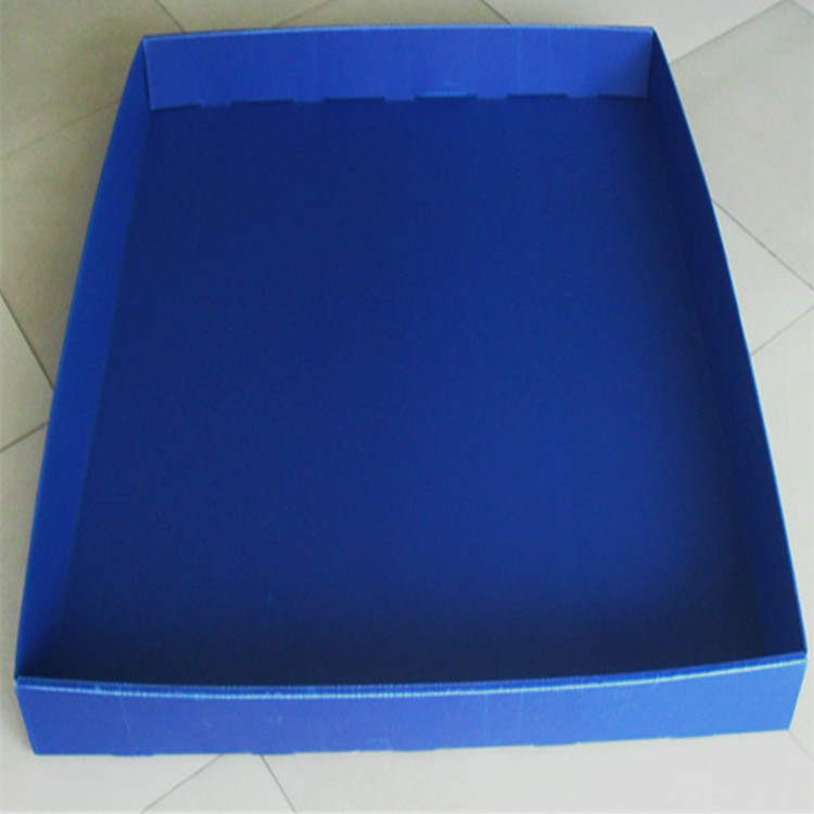 Blue PP corrugated shallow tray open-top — Elipacko USA