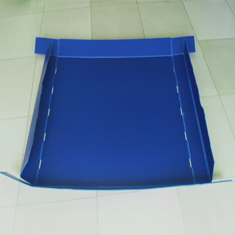 Blue PP corrugated shallow tray extended flap tabs — Elipacko USA