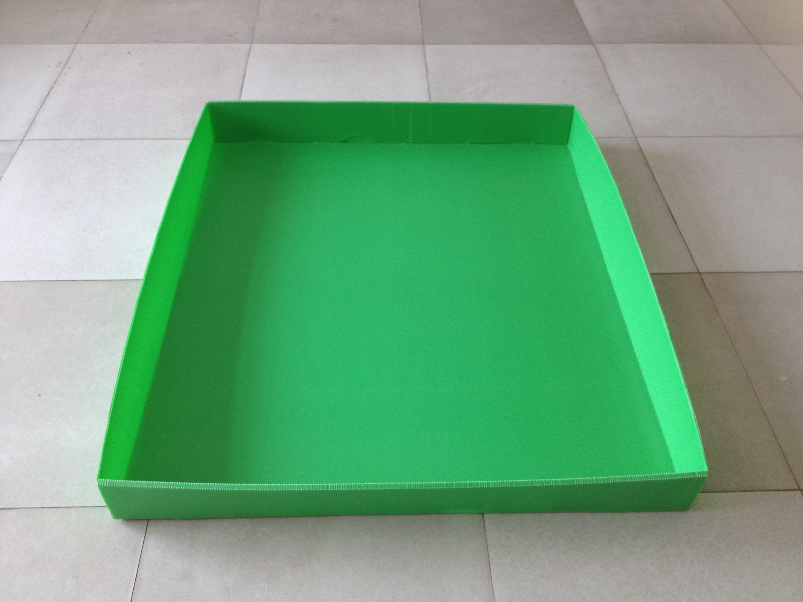 PP trays