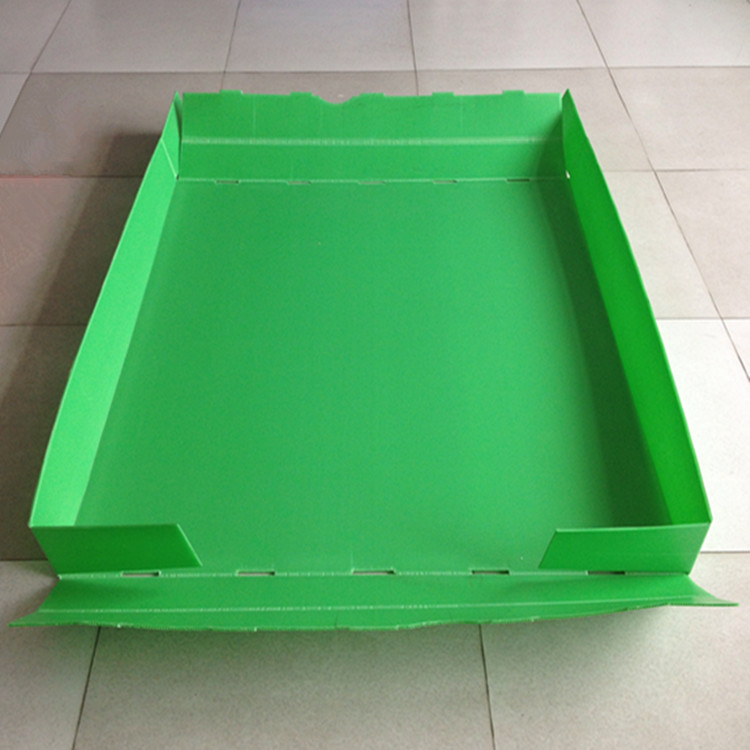 PP tray manufacturer direct — Elipacko USA