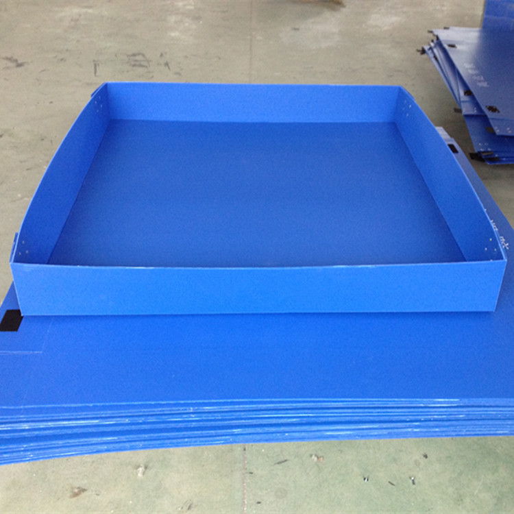 PP corrugated tray custom print color — Elipacko USA