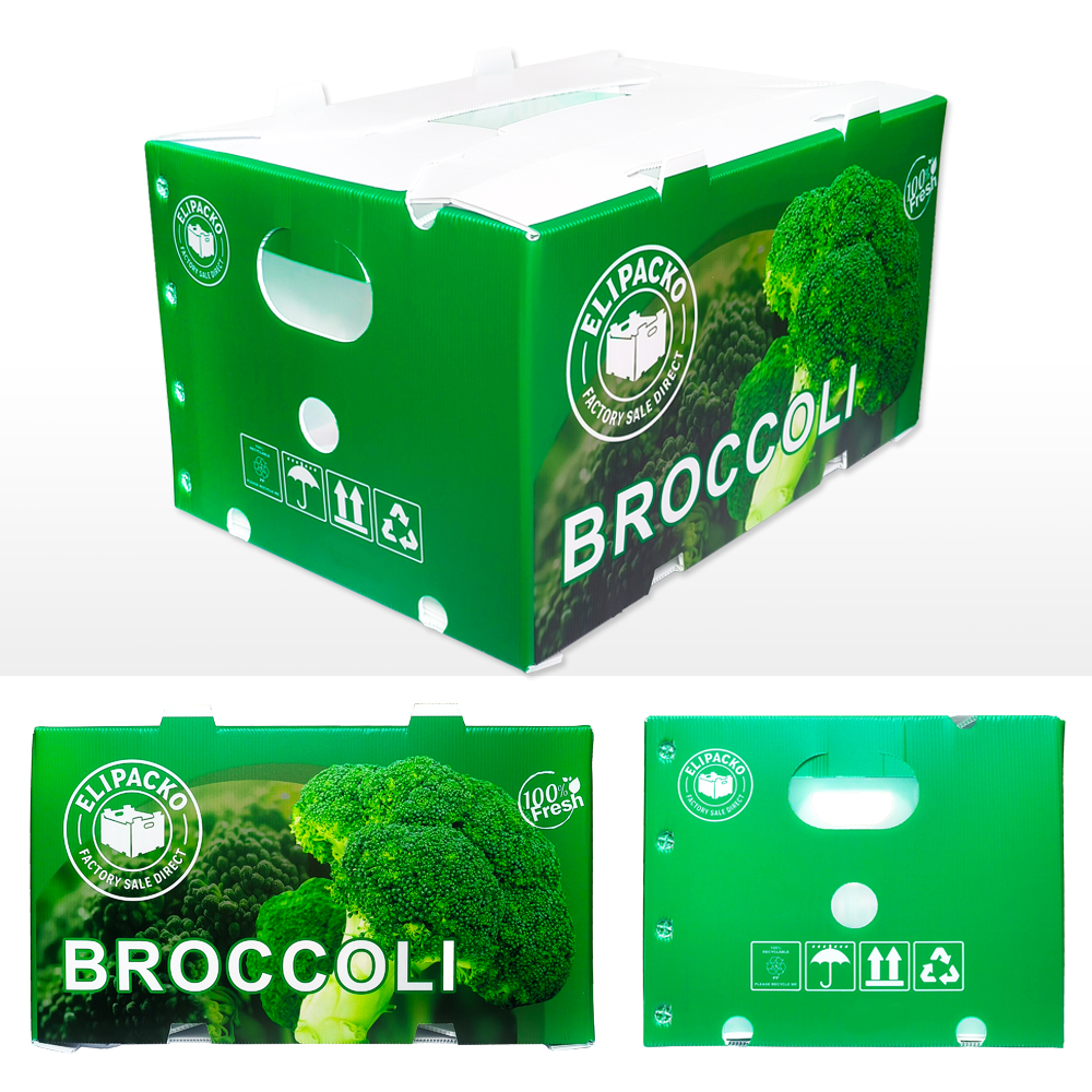 PP produce boxes alternative to wax boxes — Elipacko