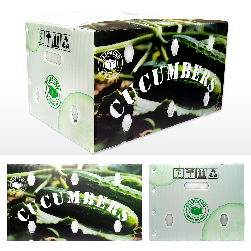 PP produce boxes