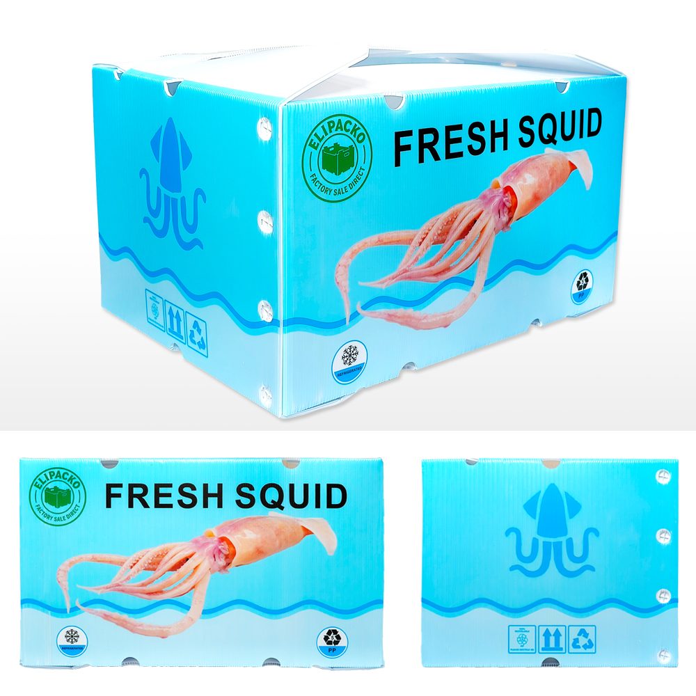 PP seafood boxes